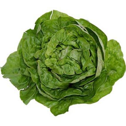 Nikla prva zelena salata u svemiru Nikla prva zelena salata u svemiru