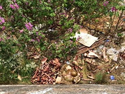 Green Home: Riješiti problem "divljih" deponija Green Home: Riješiti problem "divljih" deponija