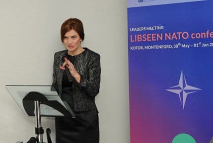 HAJDARPAŠIĆ: NATO nam je dao šansu, ujedinjeni da je iskoristimo HAJDARPAŠIĆ: NATO nam je dao šansu, ujedinjeni da je iskoristimo