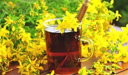 Kako da napravite kantarionovo ulje Kako da napravite kantarionovo ulje