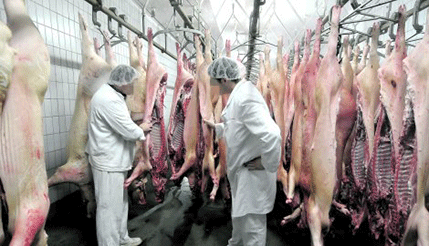 BLIC: Sramota, opet Ruse trujemo pokvarenim mesom! BLIC: Sramota, opet Ruse trujemo pokvarenim mesom!