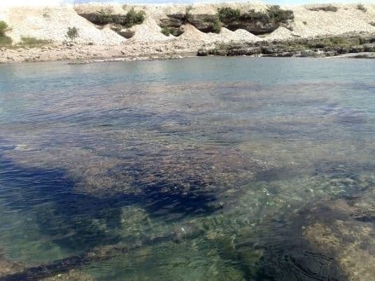 Plantaže nelegalno ogradile Cijevnu Plantaže nelegalno ogradile Cijevnu