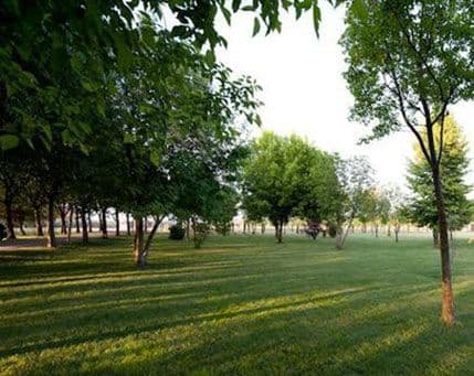 Selo u kojem vam treba Šengen da bi posjetili komšiju Selo u kojem vam treba Šengen da bi posjetili komšiju