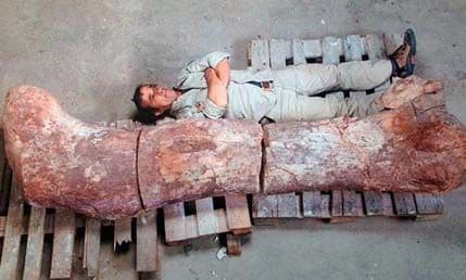 Lobanja zbog koje je Argentina „na nogama“ Lobanja zbog koje je Argentina „na nogama“