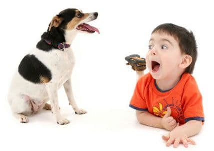 Zašto djeca treba da imaju kućne ljubimce? Zašto djeca treba da imaju kućne ljubimce?