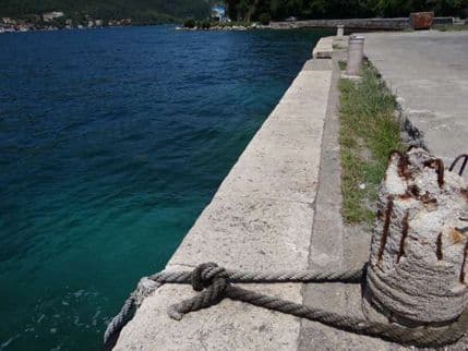 Tivat: Mrtva riba bačena u more Tivat: Mrtva riba bačena u more