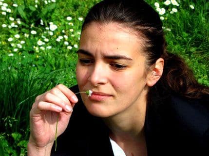 Nedjeljarenje u vinogradu Nedjeljarenje u vinogradu