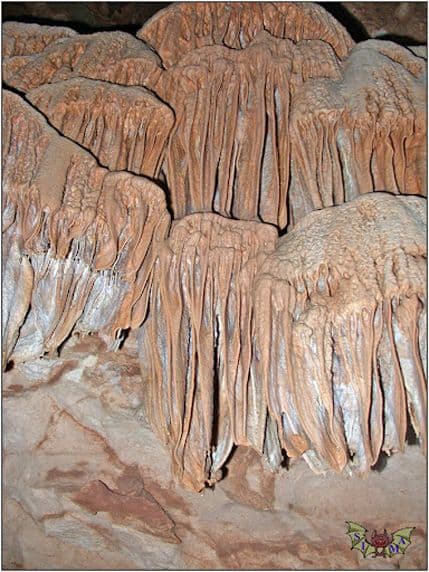 Speleolozi istražuju Trnovske pećine (FOTO) Speleolozi istražuju Trnovske pećine (FOTO)