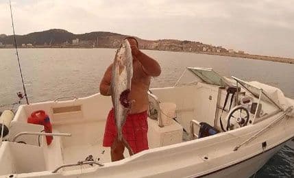 BAR: Ajkula otkinula parče ribe? (VIDEO) BAR: Ajkula otkinula parče ribe? (VIDEO)