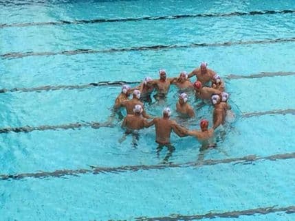 ''Ajkule'' u subotu putuju na Evropsko prvenstvo! ''Ajkule'' u subotu putuju na Evropsko prvenstvo!