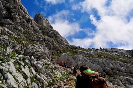 Organizovan 37. Memorijal “Danilo Jauković” Organizovan 37. Memorijal “Danilo Jauković”