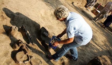 Pronađeni kosturi na obali Nila otkrivaju strašne tajne? Pronađeni kosturi na obali Nila otkrivaju strašne tajne?