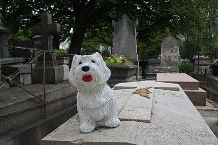 U Njujorku vlasnici mogu da budu sahranjeni uz ljubimca U Njujorku vlasnici mogu da budu sahranjeni uz ljubimca