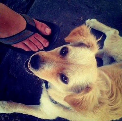 Ovo je prva fotogafija postavljena na Instagramu Ovo je prva fotogafija postavljena na Instagramu