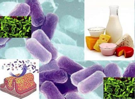 Najčešći mitovi o probioticima Najčešći mitovi o probioticima