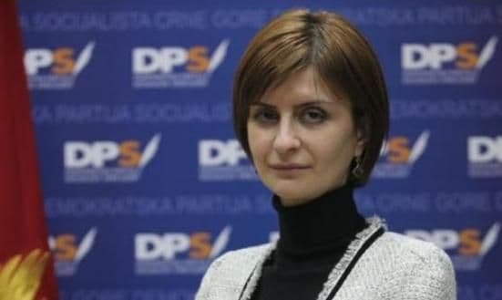 Šćepanović: Radnim verzijama zakona potrebne određene izmjene Šćepanović: Radnim verzijama zakona potrebne određene izmjene