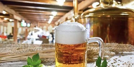 Umjerena konzumacija piva doprinosi prevenciji nekih bolesti Umjerena konzumacija piva doprinosi prevenciji nekih bolesti