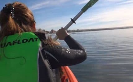 Kajakaši naletjeli na kita, on ih podigao i nosio na leđima Kajakaši naletjeli na kita, on ih podigao i nosio na leđima