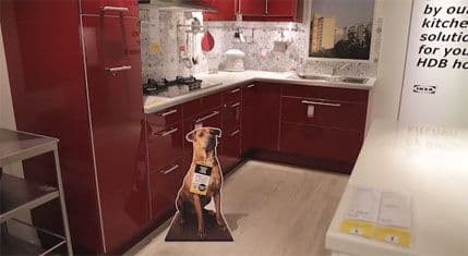 “IKEA” uz namještaj, udomljava napuštene pse “IKEA” uz namještaj, udomljava napuštene pse