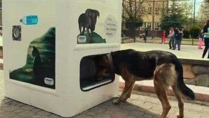 VIDEO Plastična boca u zamjenu za hranu lutalicama VIDEO Plastična boca u zamjenu za hranu lutalicama