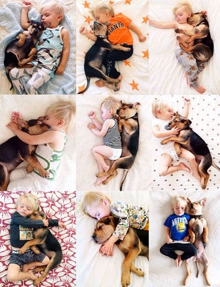 VIDEO: Bo i Teo i dalje nerazdvojni prijatelji VIDEO: Bo i Teo i dalje nerazdvojni prijatelji