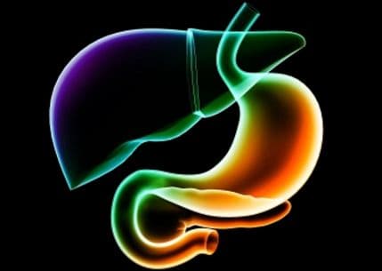 Naučnici pronašli potpuno nov virus u želucu Naučnici pronašli potpuno nov virus u želucu