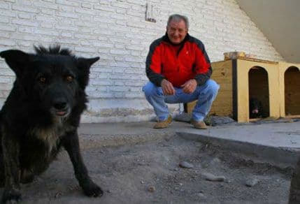 Napušteni psi postali maskote univerziteta Napušteni psi postali maskote univerziteta