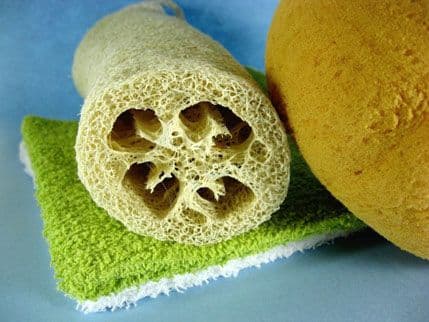 Zašto ne treba da koristite sunđer za kupanje? Zašto ne treba da koristite sunđer za kupanje?