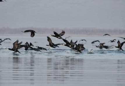 Sjutra počinje sezona lova Sjutra počinje sezona lova