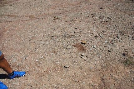 Mirovni pokret "Ne u rat - NE u NATO": Umjesto zahvalnosti - demanti Mirovni pokret "Ne u rat - NE u NATO": Umjesto zahvalnosti - demanti