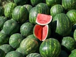 Poljoprivrednici zadovoljni sezonom Poljoprivrednici zadovoljni sezonom