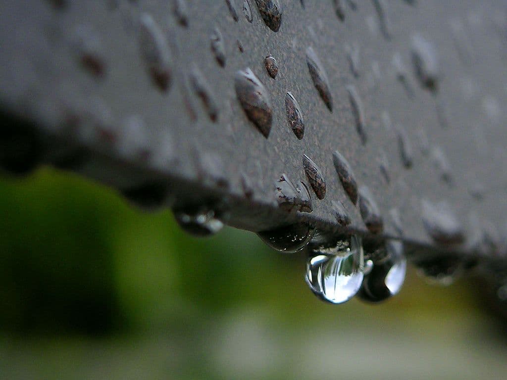 Sjutra moguća kiša Sjutra moguća kiša