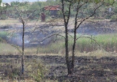 Ugašena tri požara u Podgorici Ugašena tri požara u Podgorici
