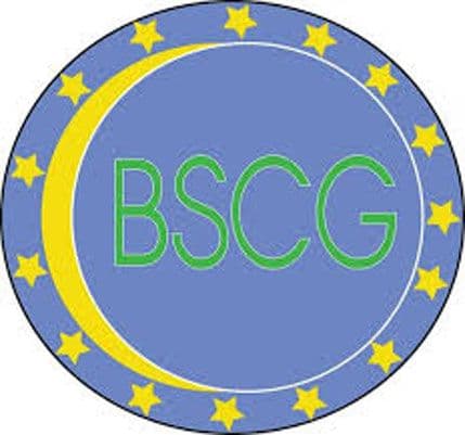 BSCG: Raspisati nove lokalne izbore BSCG: Raspisati nove lokalne izbore