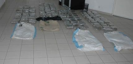 U Milješu zaplijenili 100 kg skanka U Milješu zaplijenili 100 kg skanka