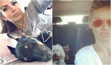 Poznate dame koje vole životinje Poznate dame koje vole životinje