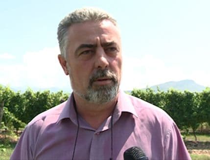 (VIDEO) BRNOVIĆ: Počela berba grožđa na Ćemovskom polju (VIDEO) BRNOVIĆ: Počela berba grožđa na Ćemovskom polju