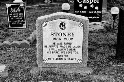 Zagreb dobija krematorijum i groblje za ljubimce Zagreb dobija krematorijum i groblje za ljubimce