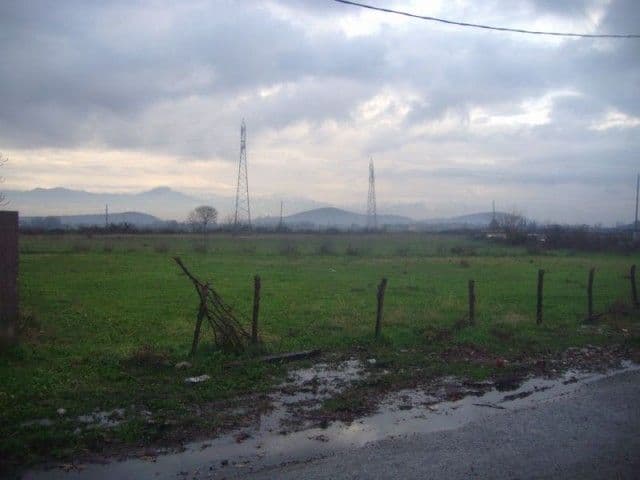 Beri: Od groma izgorjelo 700 bala sijena Beri: Od groma izgorjelo 700 bala sijena