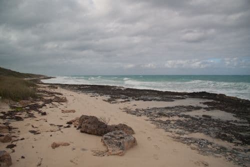 Španija: Spašeno 267 afričkih migranata Španija: Spašeno 267 afričkih migranata