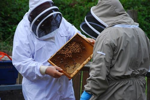 Pčelari otputovali u studijsku posjetu Bugarskoj Pčelari otputovali u studijsku posjetu Bugarskoj