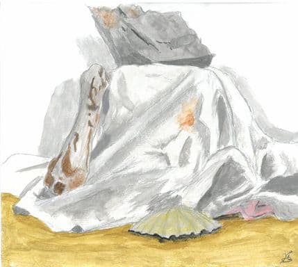 Izložba "Sinergija" sjutra u Porto Montenegru Izložba "Sinergija" sjutra u Porto Montenegru