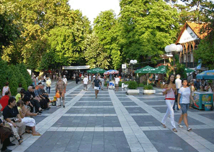 Sokobanja: Autobus sletio s puta, ima povrijeđenih Sokobanja: Autobus sletio s puta, ima povrijeđenih