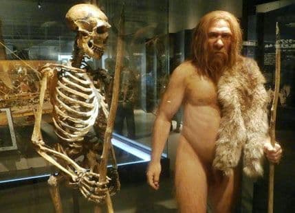 Ljudi i neandertalci - milenijumski zajednički život Ljudi i neandertalci - milenijumski zajednički život