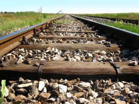 ŽI: Stablo pokidalo 460 metara kontaktne mreže, otkazani vozovi ŽI: Stablo pokidalo 460 metara kontaktne mreže, otkazani vozovi