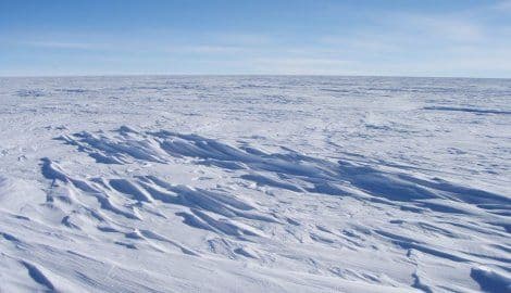 Šta jedu organizmi 800 metara ispod leda Antarktika? Odgovor šokirao sve Šta jedu organizmi 800 metara ispod leda Antarktika? Odgovor šokirao sve