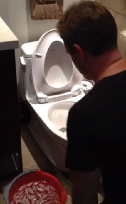 Met Dejmon nije htio da troši pitku vodu pa se zalio vodom iz wc-a! Met Dejmon nije htio da troši pitku vodu pa se zalio vodom iz wc-a!