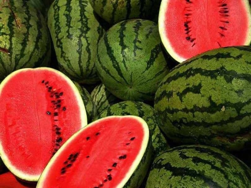 Lubenicu izvozi u Slovačku Lubenicu izvozi u Slovačku