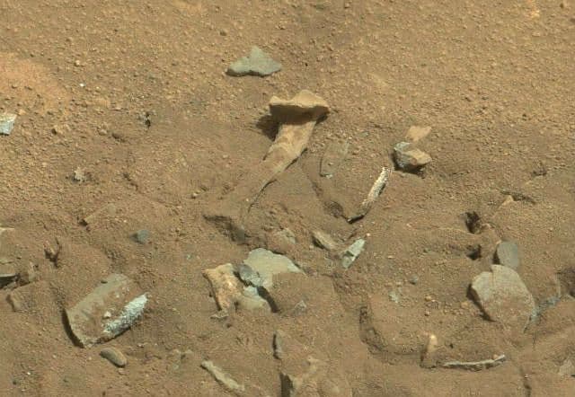 NASA: "Vanzemaljska kost" na Marsu je zapravo... NASA: "Vanzemaljska kost" na Marsu je zapravo...