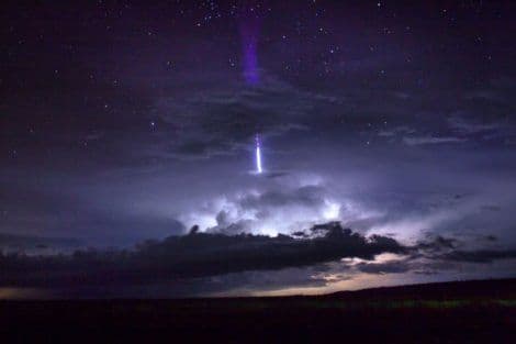 Izgleda kao invazija vanzemaljaca, ali ovo je samo još jedno čudo prirode Izgleda kao invazija vanzemaljaca, ali ovo je samo još jedno čudo prirode